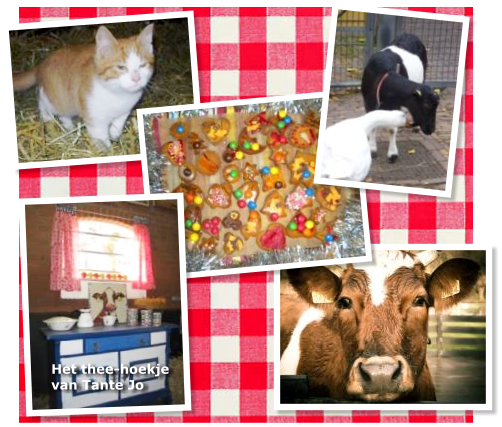 Het thee-hoekje van Tante Jo