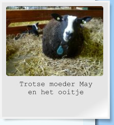 Trotse moeder May  en het ooitje